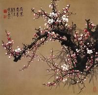 《賀新郎·陪履齋先生滄浪看梅》 《賀新郎·陪履齋先生滄浪看梅》