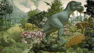 白堊紀有了可靠的早期被子植物