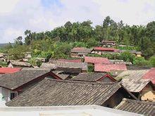 拜子廠自然村 拜子廠自然村