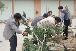 寧明縣林業局 寧明縣林業局