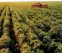 平原[一種地貌形態]