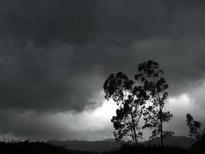 強烈熱帶風暴蓮花 強烈熱帶風暴蓮花