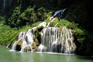 湖南張家界大鯢國家級自然保護區