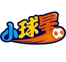 廣州小球星信息科技有限公司 廣州小球星信息科技有限公司