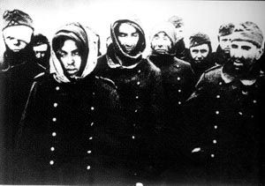 德軍在史達林格勒投降