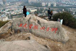 獅子回頭望虎丘 獅子回頭望虎丘