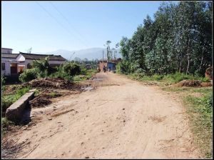 武邑自然村 武邑自然村