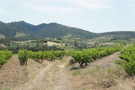 魯西榮產區 魯西榮產區