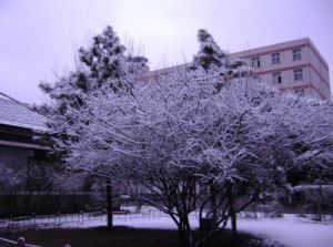 河北建築工程學院  