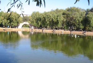 運林帶狀公園 運林帶狀公園