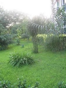 新華聯錦園 新華聯錦園