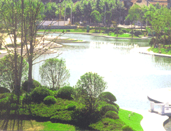 虹口開發區 虹口開發區