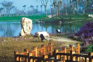 玉峰遺址 玉峰遺址