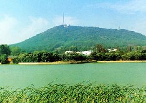 雙鳳湖國際旅遊度假區