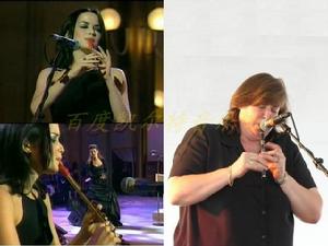 愛爾蘭錫哨 愛爾蘭錫哨