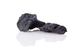 熟地黃[熟地黃]