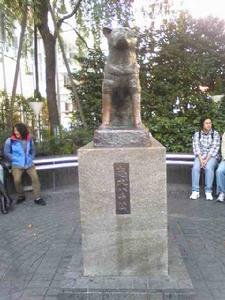 涉谷車站的八公狗