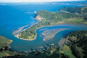 溫德霍爾姆地區公園 溫德霍爾姆地區公園