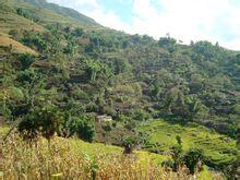 火石山自然村 火石山自然村