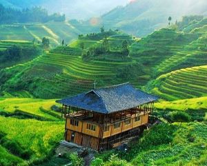 感古小寨村 感古小寨村