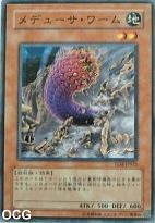 美杜莎蟲 美杜莎蟲