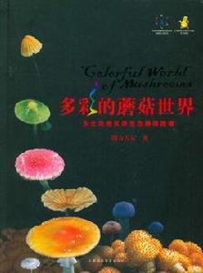 多彩的蘑菇世界 多彩的蘑菇世界