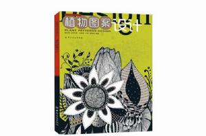 植物圖案設計