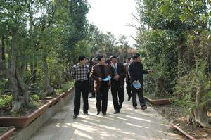 巴彥查乾蘇木林業資源