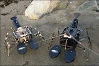 機器龍蝦 機器龍蝦