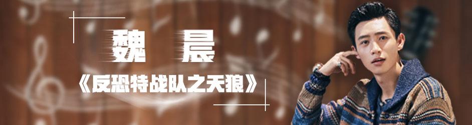 魏晨《反恐特戰隊之天狼》