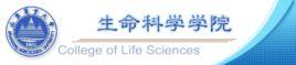 山東農業大學生命科學學院