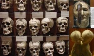 穆特爾醫學史博物館 穆特爾醫學史博物館