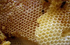 黃金蜂巢素 黃金蜂巢素
