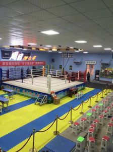 滄海國際泰拳搏擊俱樂部