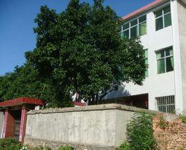 花園坑移民村 花園坑移民村