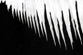 白加黑減 白加黑減