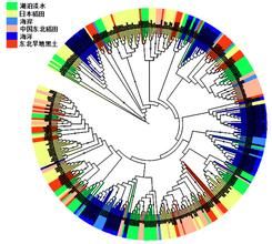 土壤基因圖譜 土壤基因圖譜