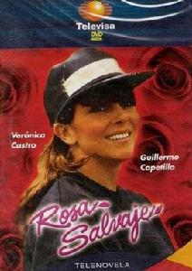 野玫瑰[墨西哥1987年羅薩主演電影]