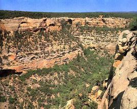 美國弗德台地國家公園 美國弗德台地國家公園