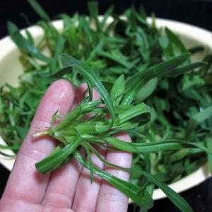 麥瓶苗拌撈麵 麥瓶苗拌撈麵