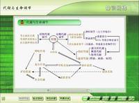 知識網路 知識網路