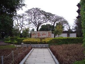 （圖）830年的老榕樹