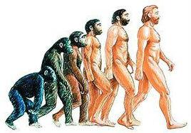 人種起源 人種起源