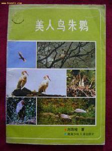 美人鳥朱䴉 美人鳥朱䴉