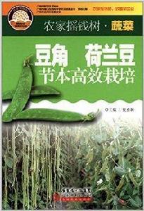 豆角·荷蘭豆節本高效栽培 豆角·荷蘭豆節本高效栽培