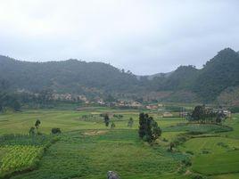 野母雞村 野母雞村