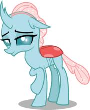 Ocellus