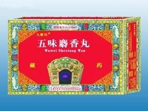 五味麝香丸 五味麝香丸