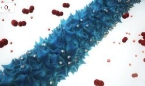 病毒電池 病毒電池