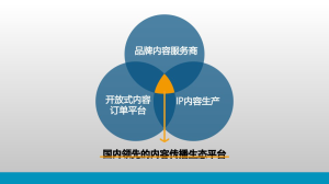 國內領先的內容傳播生態平台